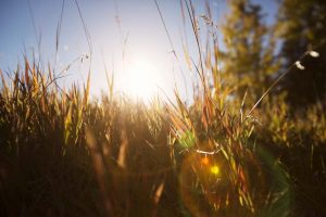Sonnenlicht